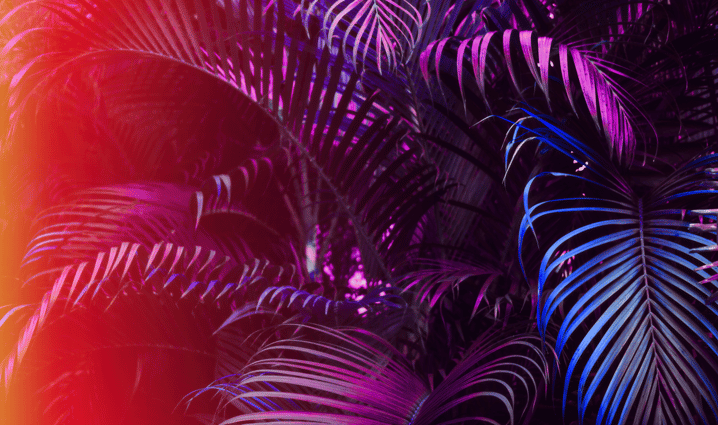 Blog - Sublimation 2