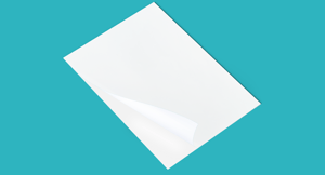 VinyloSprint White Pro Mat 100 M1