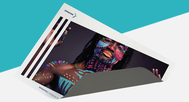 TexSprint&nbsp;GreyBack Sub - Image 2